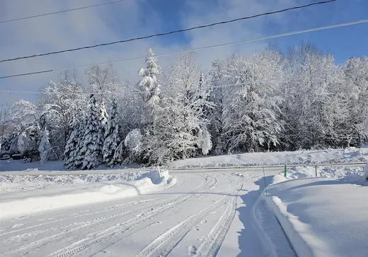 Maison à vendre - 10 Rue de la Montée, Eastman, J0E 1P0