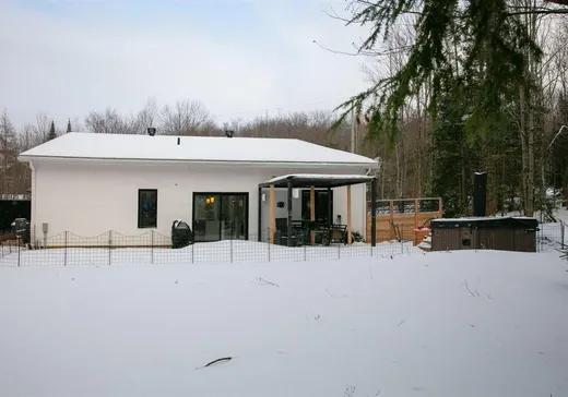 Maison à vendre - 10 Rue de la Montée, Eastman, J0E 1P0