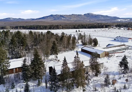 Maison à vendre - 209 Ch. Lefebvre, Stukely, J0E 2J0