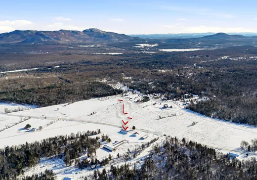 Maison à vendre - 209 Ch. Lefebvre, Stukely, J0E 2J0