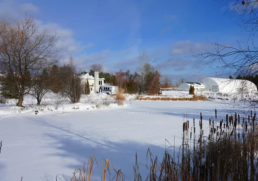 Fermette à vendre - 570Z Ch. du Ruisseau, Ste-Catherine-De-Hatley, J0B 1W0