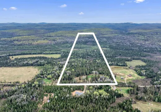 Maison à vendre - 2491-2499 Ch. des Pinsons, Nominingue, J0W 1R0