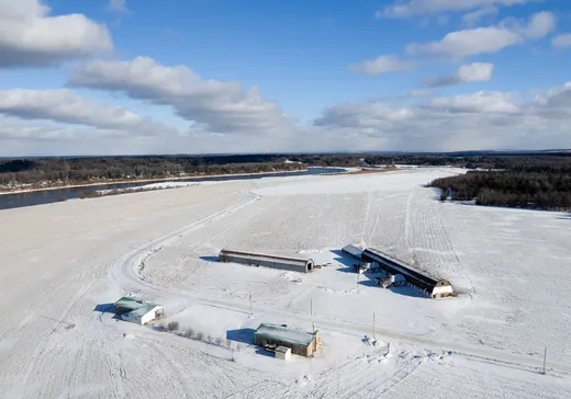 Maison à vendre - 880 Rg Therrien (880Z-900Z), Saint-Lucien, J0C 1N0