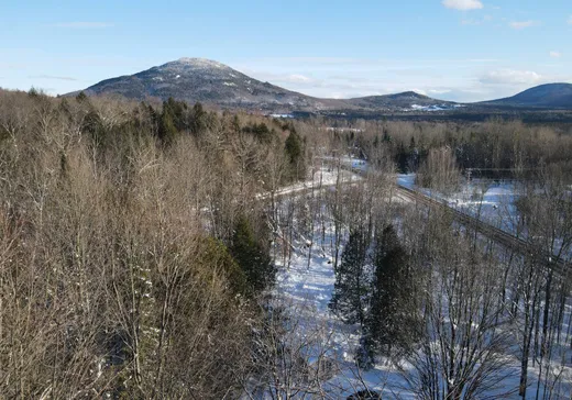 Maison à vendre - 263 Ch. de Vale Perkins, Mansonville, J0E 1X0