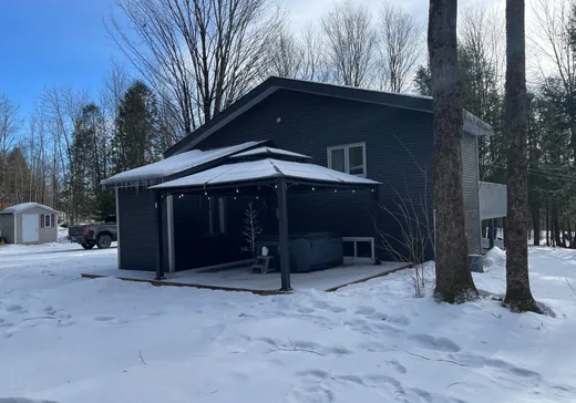 Maison à vendre - 263 Ch. de Vale Perkins, Mansonville, J0E 1X0