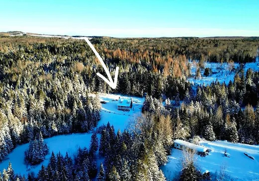 House for sale - 133 Ch. de la Métairie, Lac-Etchemin, G0R 1S0