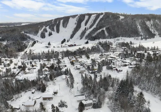 House for sale - 33 Rue de la Poudreuse, Pont-Rouge, G5N 5W4