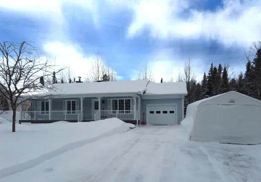 Maison à vendre - 116 12e Rang, Lac-Etchemin, G0R 1S0