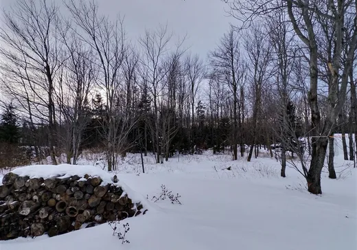 House for sale - 261 Rue J.-J.-Bélanger, Rivière-du-Loup, G5R 5V9