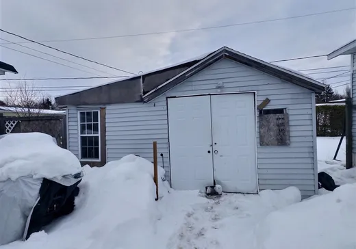 Loft for sale - 47 Rue du Parc-de-l'Amitié, Notre-Dame-du-Portage, G0L 1Y0