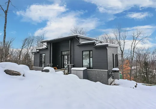Bungalow à vendre - 90 Rue du Mont-Sanford, Mont-Tremblant, J0T1M0