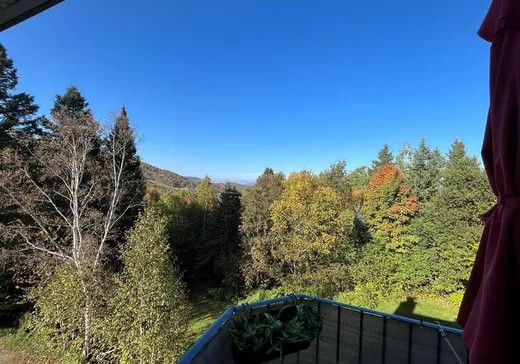 Condo for sale - 1208 Rue Bellevue, App. 5, Mont-Blanc, J0T 2G0