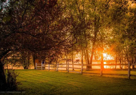 Maison à vendre - 42 Rue Fournier, Lachute, J0V 1X0