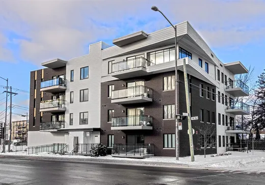Condo à vendre - 1115 18e Rue, App. 101, La Cité-Limoilou, G1J0E5