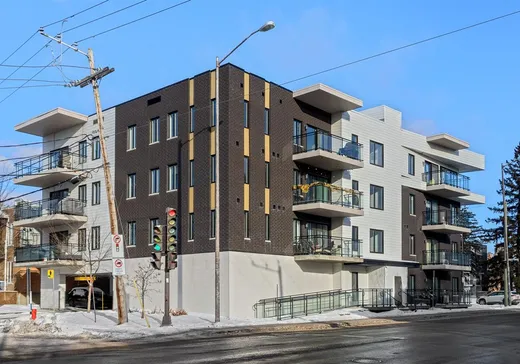 Condo à vendre - 1115 18e Rue, App. 101, La Cité-Limoilou, G1J 0E5