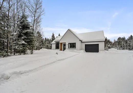 Maison à vendre - 145 Rue du Pékan, St-Ferreol-les-Neiges, G0A 3R0