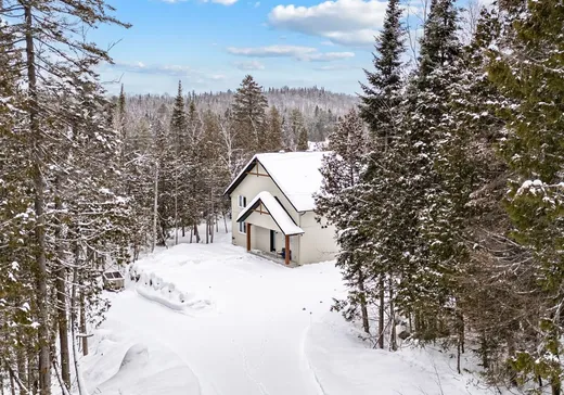 Maison à vendre - 7465 Ch. du Lac-Pilon, Sainte-Adèle, J8B 1N9