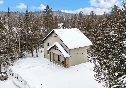 Maison à vendre - 7465 Ch. du Lac-Pilon, Sainte-Adèle, J8B 1N9