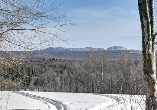 Maison à vendre - 789 Ch. Ste-Anne, Stukely, J0E 2J0