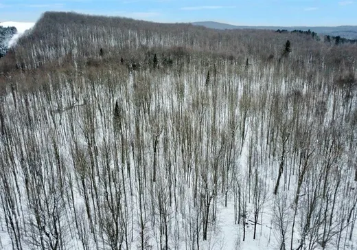 Maison à vendre - 789Z Route 112, Sainte-camille, J0A 1G0