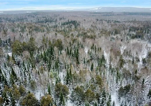 Hobby Farm for sale - 789 Route 112, Sainte-camille, J0A 1G0