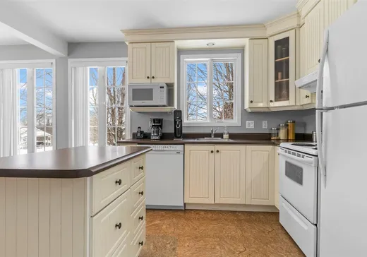 Maison à vendre - 159 Rue Leblond, St-Francois-Xavier-de-Brompton, J0B 2V0