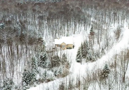 Maison à vendre - 10 Rue des Vosges, Eastman, J0E 1P0