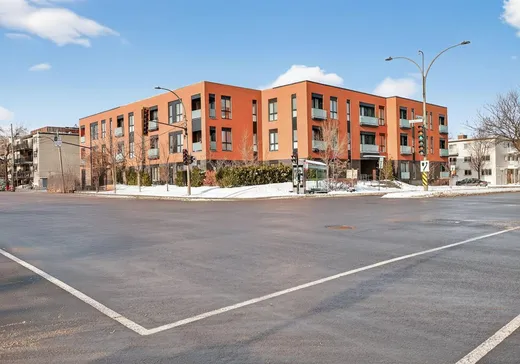 Condo à vendre - 3311 Boul. St-Joseph E., App. 213, Montréal (Rosemont–La Petite-Patrie), H1X1W3