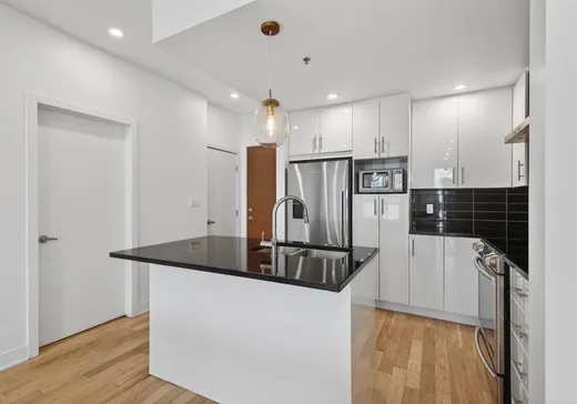 Condo à vendre - 3311 Boul. St-Joseph E., App. 213, Montréal (Rosemont–La Petite-Patrie), H1X 1W3