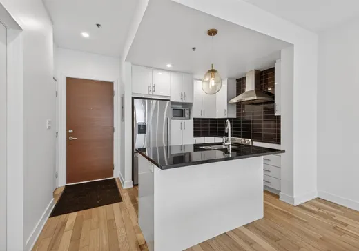 Condo à vendre - 3311 Boul. St-Joseph E., App. 213, Montréal (Rosemont–La Petite-Patrie), H1X 1W3