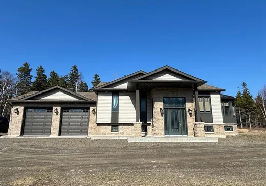 Maison à vendre - 741 Route 132, L'Anse-Pleureuse, G0E 1G0