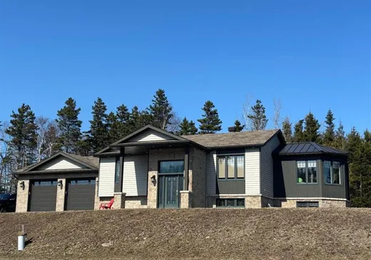 Maison à vendre - 741 Route 132, L'Anse-Pleureuse, G0E 1G0