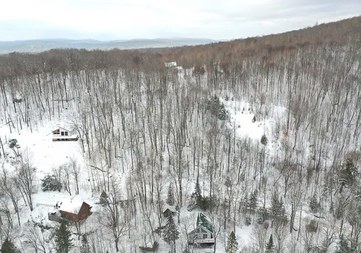 Maison à vendre - 138 Ch. des Aigles, Nominingue, J0W 1R0