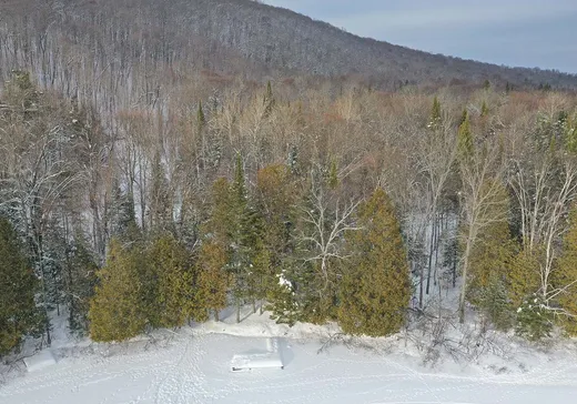 Maison à vendre - 138 Ch. des Aigles, Nominingue, J0W 1R0