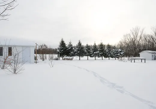 Maison à vendre - 3086 Rue St-Calixte, Plessisville, G6L 1S7