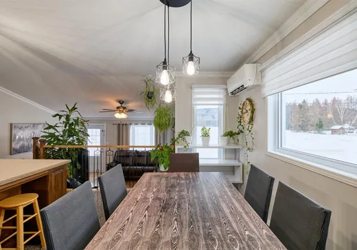 House for sale - 51 Rue Jonathan, St-Alexis-Des-Monts, J0K 1V0