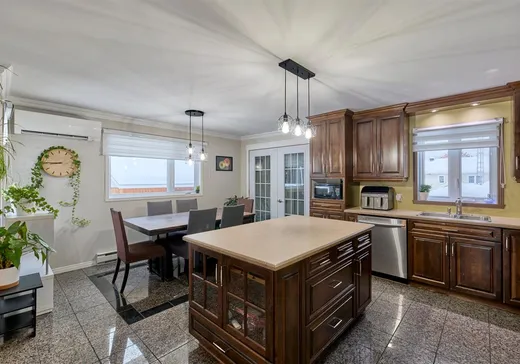 House for sale - 51 Rue Jonathan, St-Alexis-Des-Monts, J0K 1V0