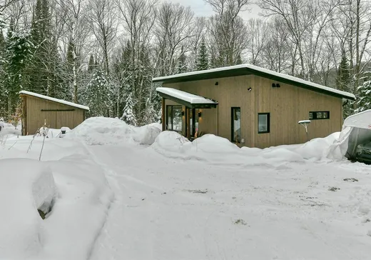 Maison à vendre - 2100 Ch. du Lac-Mulet, Mont-Blanc, J0T 2G0