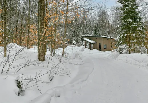 Maison à vendre - 2100 Ch. du Lac-Mulet, Mont-Blanc, J0T 2G0