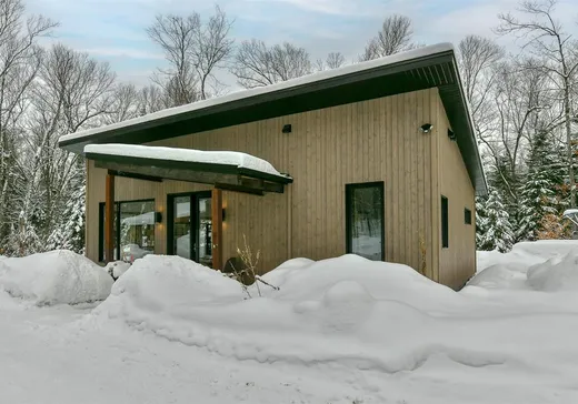 Maison à vendre - 2100 Ch. du Lac-Mulet, Mont-Blanc, J0T 2G0