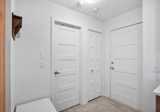 Condo for sale - 3620 Rue Médard-Émard, St-Hubert, J3Y 0W3