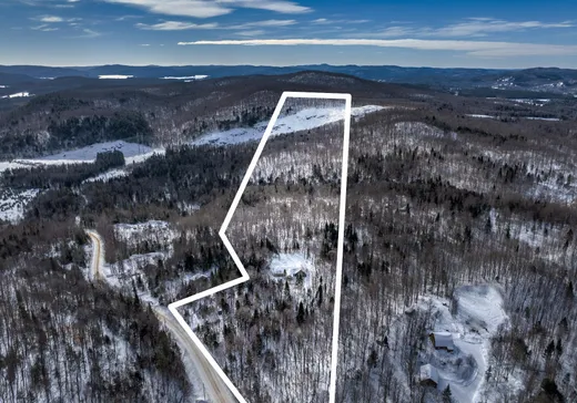 Maison à étages à vendre - 26 Ch. de la Montagne, Notre-Dame-de-la-Merci, J0T1A0