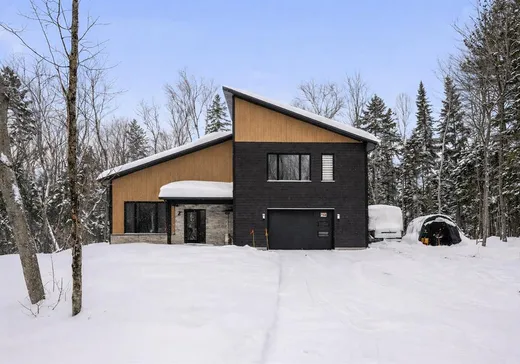 Maison à vendre - 24 Ch. de la Randonnée, Petite-Riviere-St-François, G0A 3X0