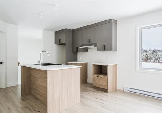 Maison à vendre - 15 Rue St-Pierre, East Angus, J0B 1R0