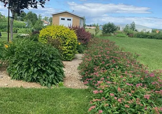 House for sale - 4 Rue Rachelle, Saint-Jean-de-Dieu, G0L 3M0