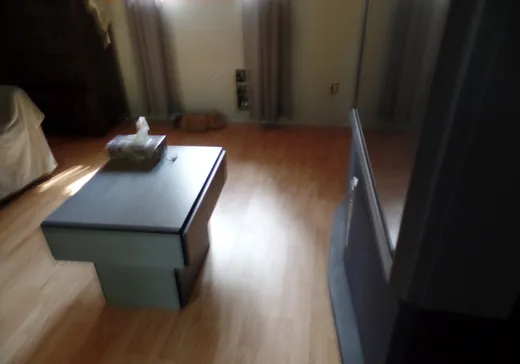 House for sale - 120 Ch. Renaud, Val-des-Bois, J0X 3C0