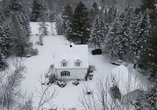 Maison à vendre - 19 Ch. de la Prairie, Mansonville, J0E 1X0