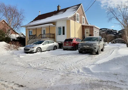 Un étage et demi à vendre - 88 Rue Principale, Saint-André-de-Kamouraska, G0L2H0