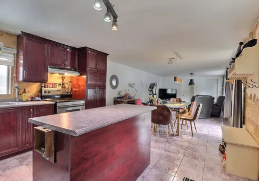 Maison à vendre - 103 Rue du Parc, Val-d'Or, J9P 0C3