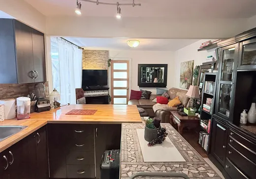 Condo à vendre - 4446 Rue Bélanger, Montréal (Centreville), H1T 1B5
